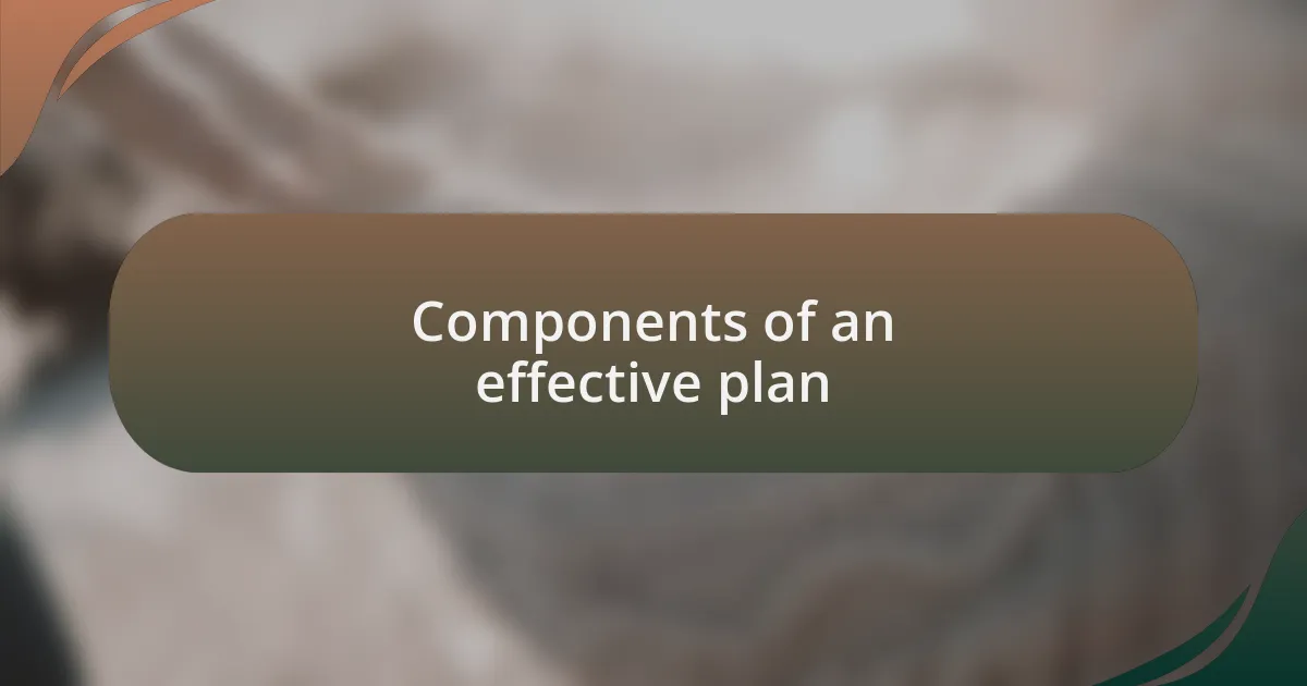 Components of an effective plan