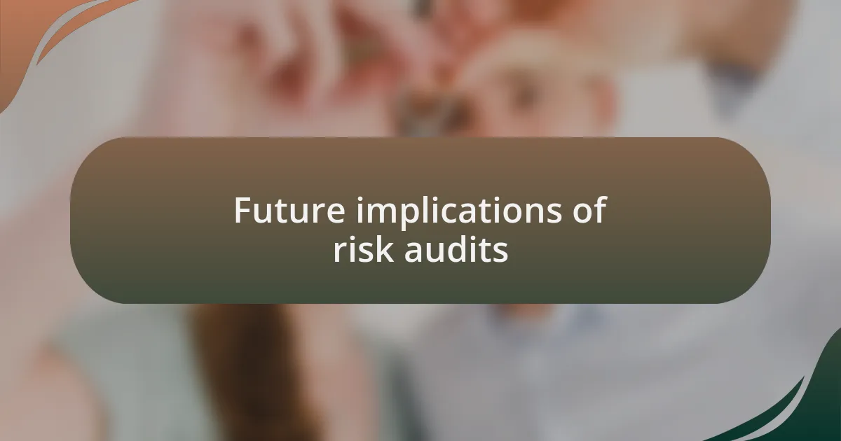 Future implications of risk audits
