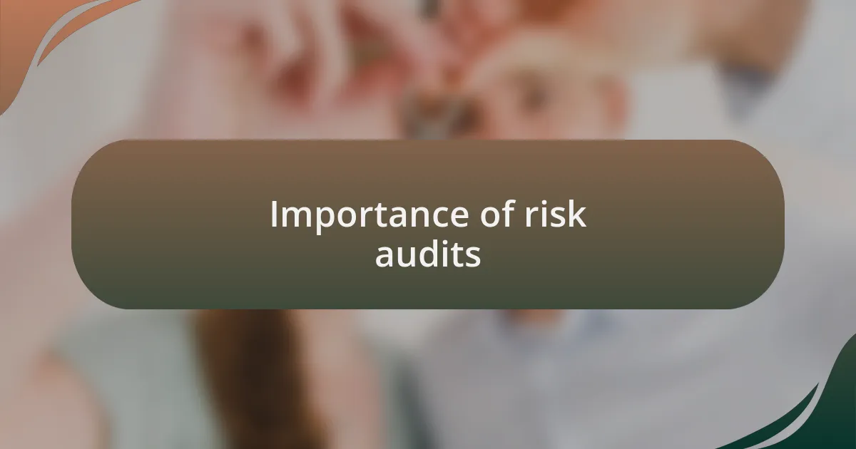 Importance of risk audits