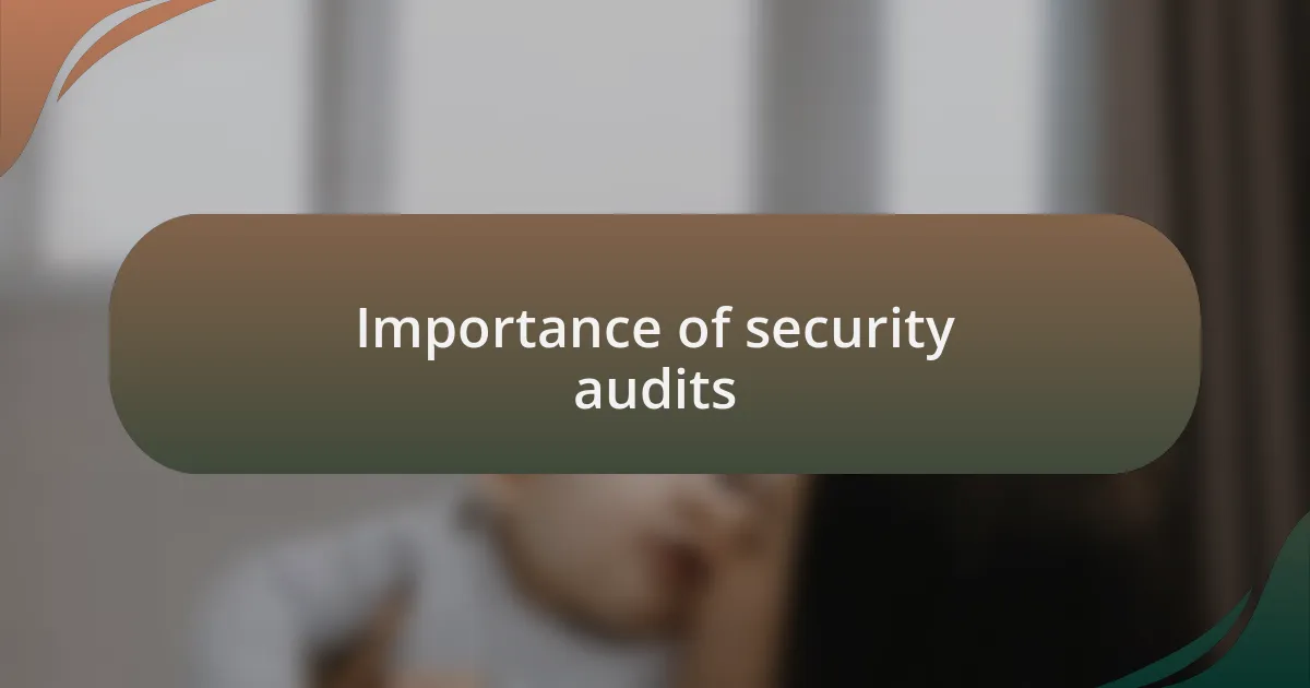 Importance of security audits