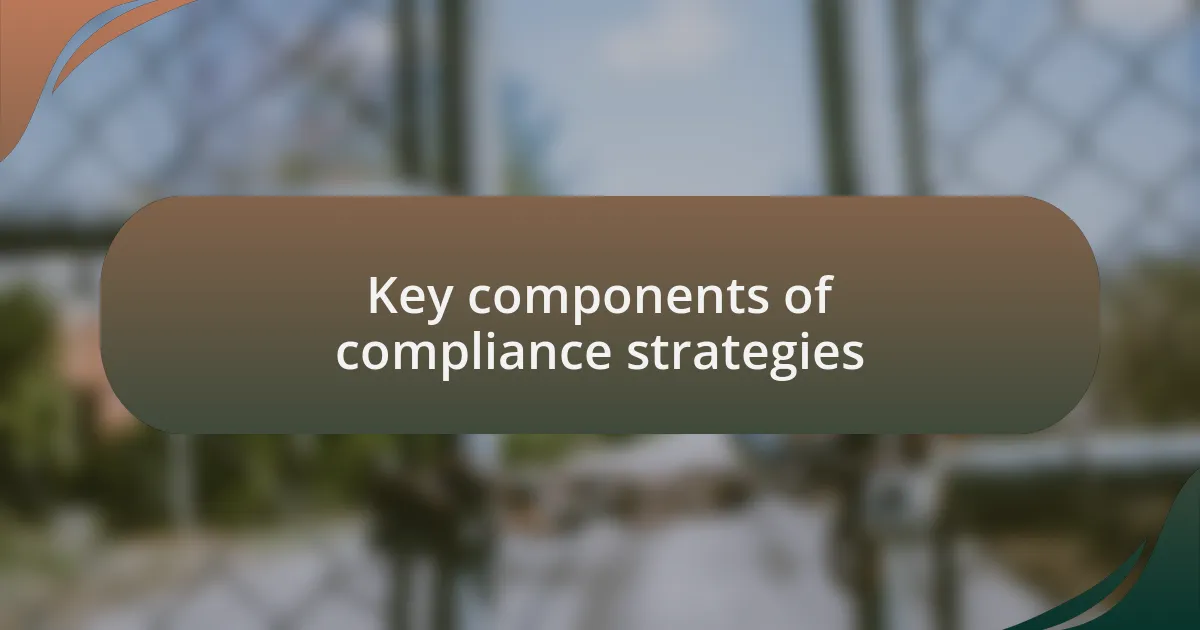 Key components of compliance strategies