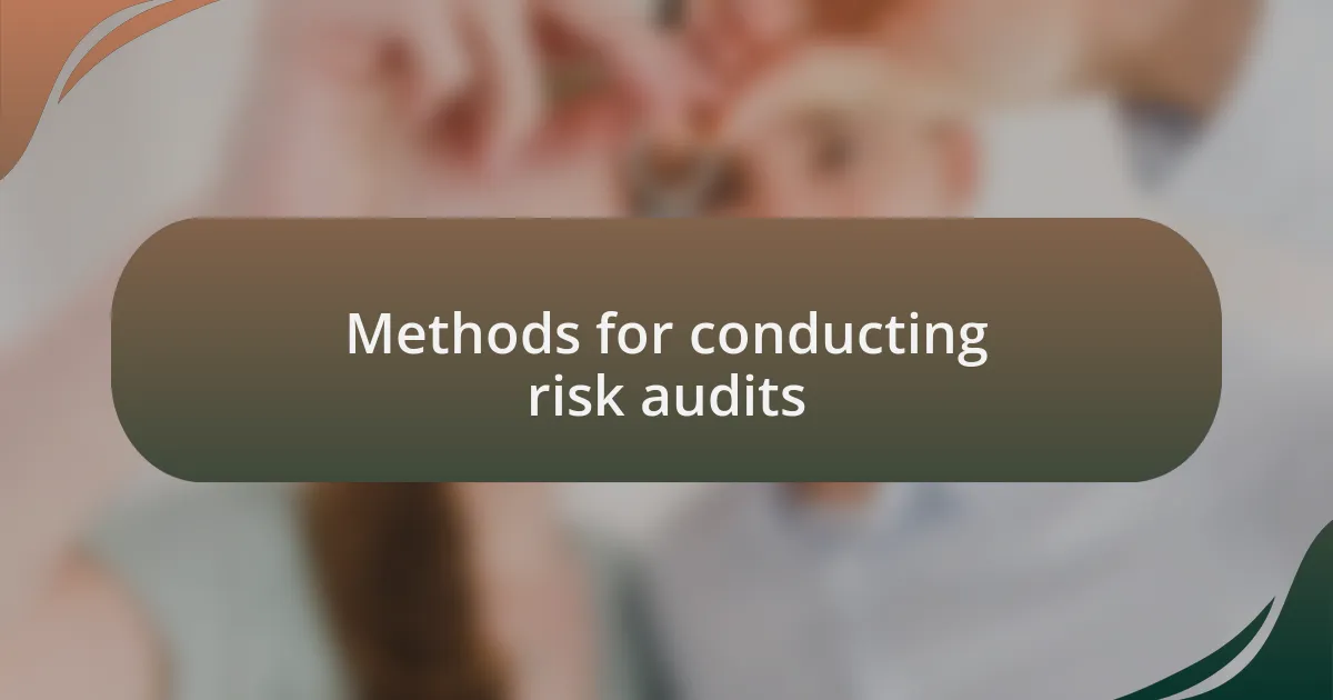 Methods for conducting risk audits