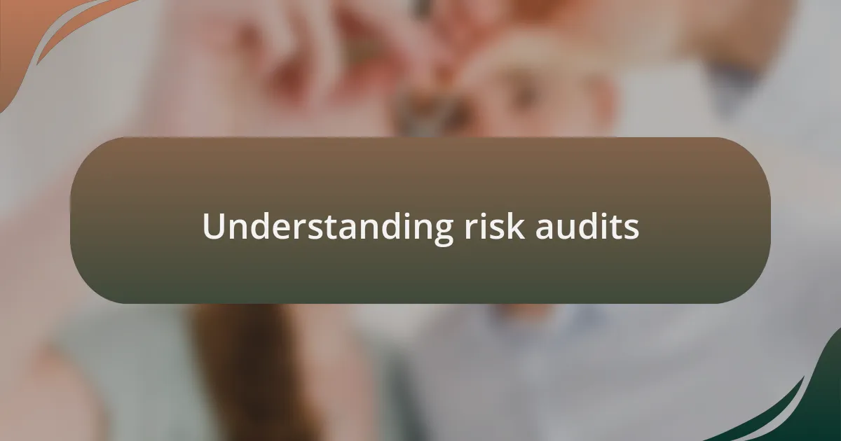 Understanding risk audits
