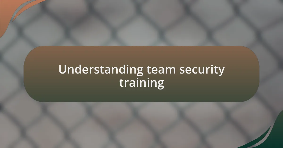 Understanding team security training